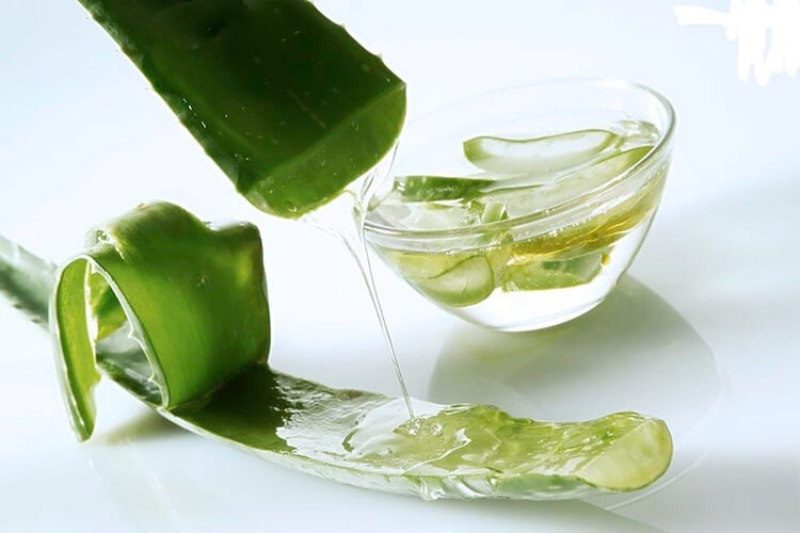 Gel Nha Đam Có Tác Dụng Gì? Có Nên Sử Dụng?