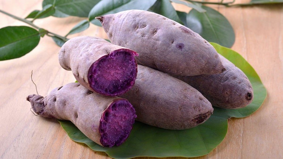 Công dụng của khoai lang tím, giá thành, các món ăn ngon từ khoai lang tím