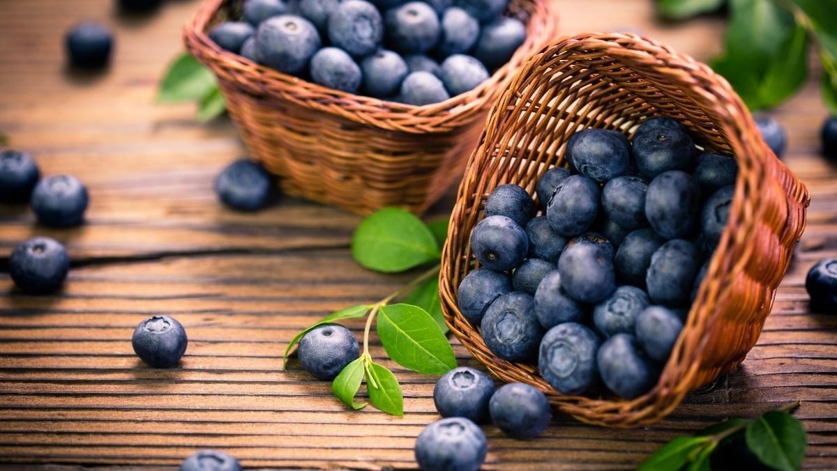 Việt quất là quả gì? Bao nhiêu 1kg và cách phân biệt với nam việt quất